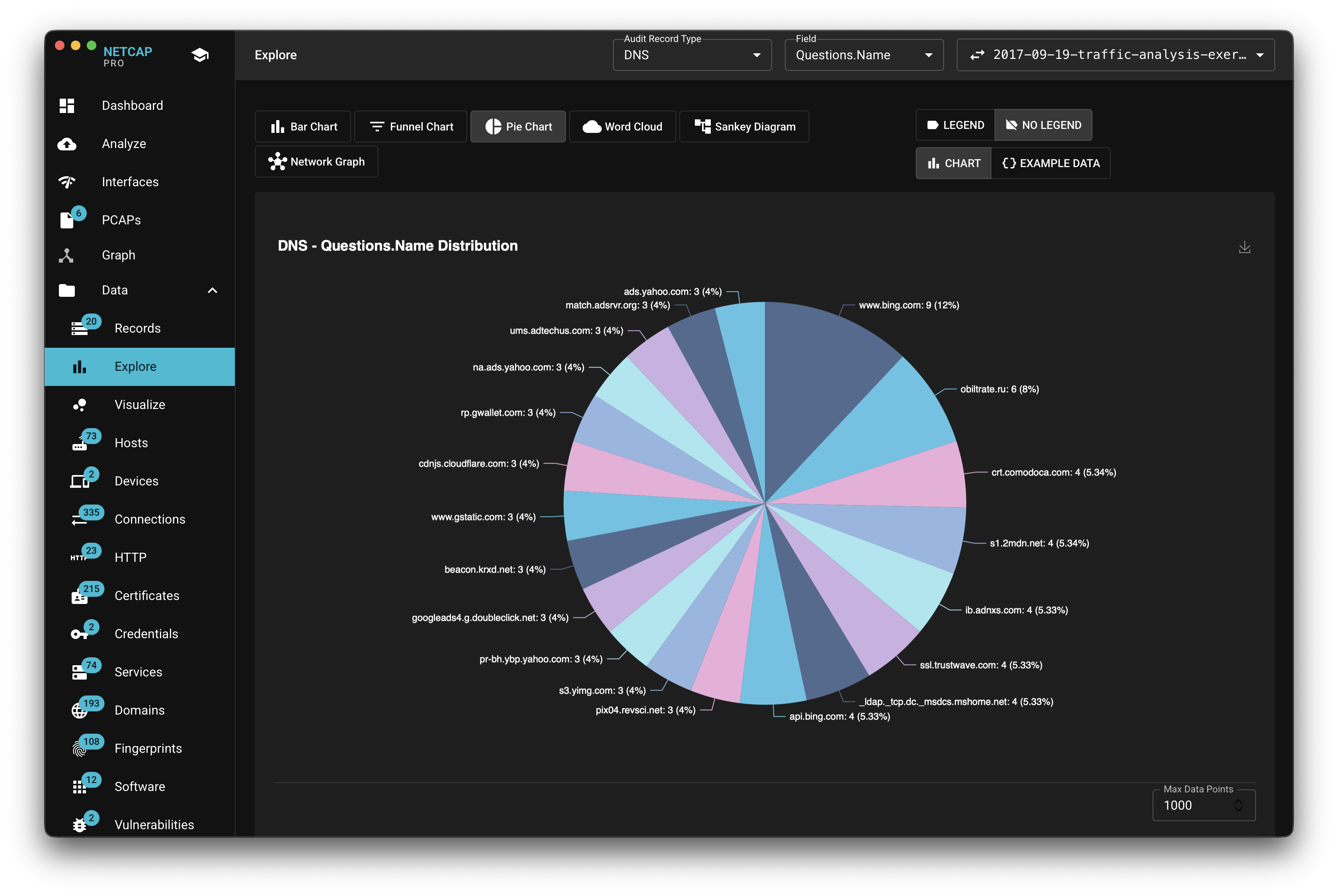 Netcap DNS question name distribution shown as a multicolor pie chart
