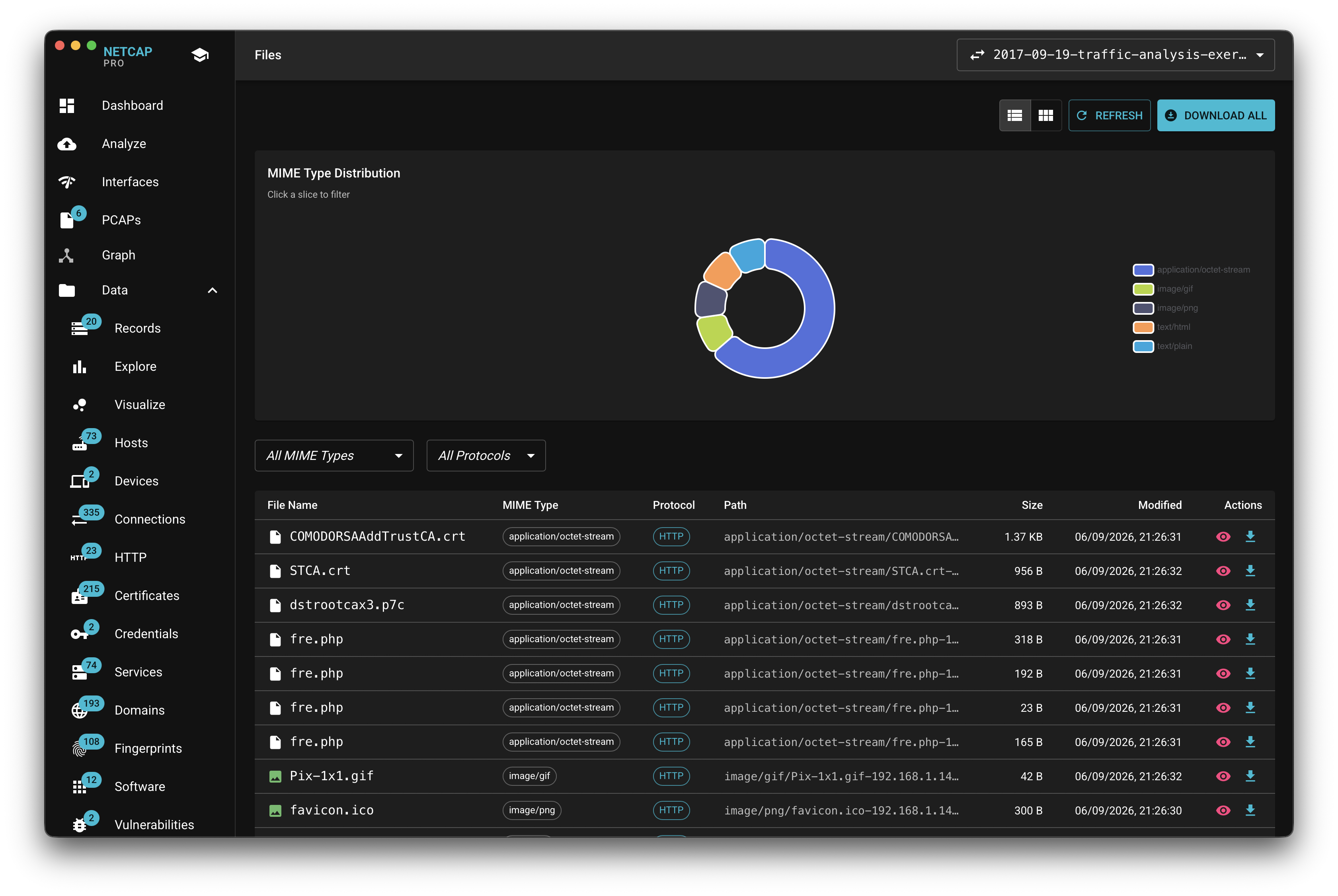 Netcap files screen with MIME distribution chart and extracted file records